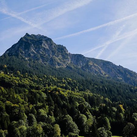 "Haus Berktold" - Annehmlichkeiten Von 4-Sterne Familien-Und Wellnesshotel Viktoria Koennen Mitbenutzt Werden Oberstdorf Exterior foto